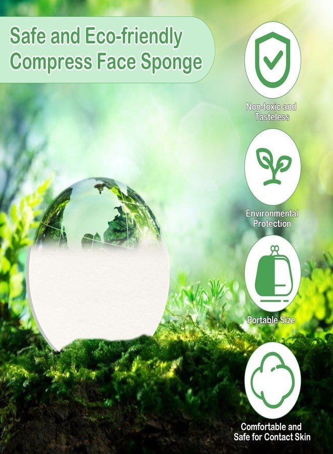 لوكسيف عبوة من 240+1 إسفنجة تنظيف الوجه البيضاء المضغوطة، إسفنجة تنظيف الوجه الدائرية المضغوطة من لوكسيف لأخصائيي التجميل، إسفنجة ناعمة مضغوطة للمكياج مع حقيبة سفر (3.1 بوصة، العدد، 240) - Image 3